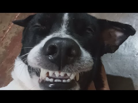 Speed Animating Sticknodes Youtube