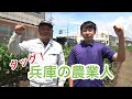 明石市和坂の生産者と「タッグ！兵庫の農業人」（ＪＡあかし）