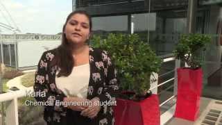 Science without Borders students describe their research placement