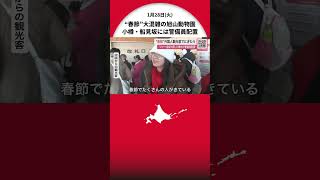 ペンギンの散歩を囲む大群衆…“春節スタート”旭川市旭山動物公園は大混雑 中国・台湾などの観光客が訪れる 北海道各地でにぎわう一方…「オーバーツーリズム」対策で小樽市『船見坂』に警備員配置