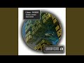Disco Boost (Original Mix)