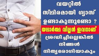 നിത്യരോഗി ആകും വയറ്റില്‍ സ്ഥിരമായി ഗ്യാസ് ഈ രീതിയില്‍ ആണോ വരുന്നത് എങ്കില്‍ @BaijusVlogsOfficial