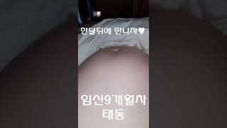 #shorts 임신9개월차 만삭태동! 엄마 잠 좀 자자ㅠㅠ