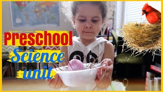 HOW TO HOMESCHOOL PRESCHOOL SCIENCE || Preschool birds theme