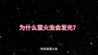 你知道为什么萤火虫会发光吗？#科普一下 #科普 #奇闻奇事