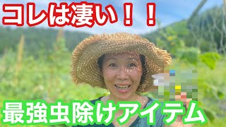 農家お墨付きの虫除けアイテムをご紹介いたします