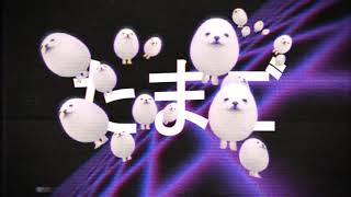 【eggdog wave】