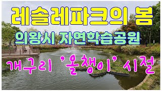 의왕시 레솔레파크 올챙이