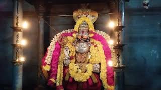 ஸ்ரீ சரபேசுவரர் அர்ச்சனை சிவகுமார் சாமி வேப்பூர் வசிஷ்டர்🛕ஆற்காடு🛕 பிரம்மஸ்ரீசிவயோகிசிவபாலாஜிசித்தர்