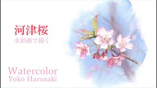 水彩画で描く河津桜　Harusaki  Watercolor 桜の描き方