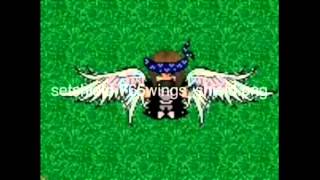 graal era shield codes