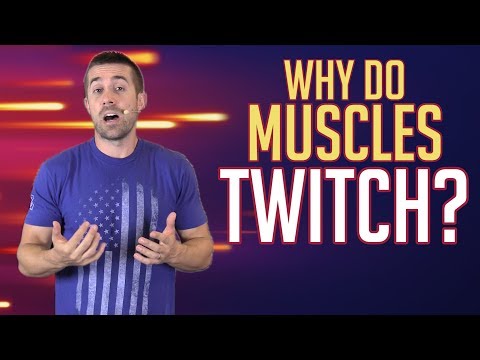 Why Do Muscles Twitch? Why Do Muscles Twitch?
