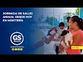 Jornada de salud animal desde hoy en Montería