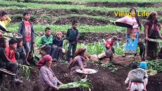 Magars culture Amazing culture || traditional kham magars culture village life