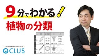 植物の分類　中学理科　1年　2分野　植物の生活と種類8