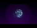DONT MISS OUT on a THREEjs Javascript 3d Developer Portfolio