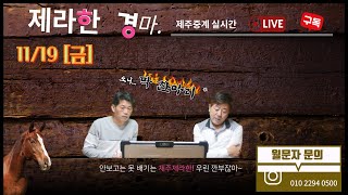 제주제라한 11월19일 (금) LIVE 경마방송