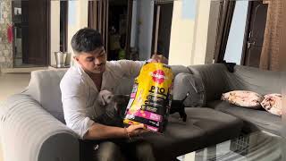 Pakistani bully puppy \u0026 best dog food for puppy