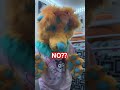 answering faq furry fursuit fursona costume viral trend fursuiter antizoo