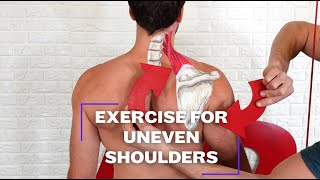 Exercise for Uneven Shoulders 💪