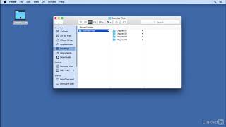 Using exercise files