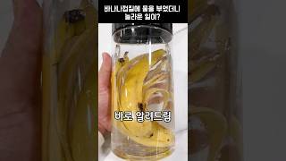 바나나 껍질에 물을 부으면 생기는 개꿀팁