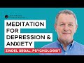 Help Depression and Anxiety with Meditation | Zindel Segal |Ten Percent Happier with Dan Harris