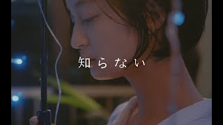 知らない - 古川本舗 ft.若林希望 (Cover) / HengWen