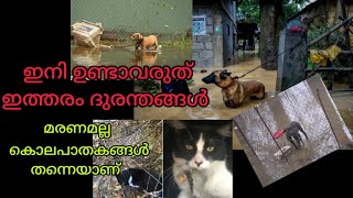 ദയവായി കാണുക. ഇത്തരം ദുരന്തങ്ങൾ ആവർത്തിക്കാതിരിക്കാൻ.||#Lifeonearth #animal