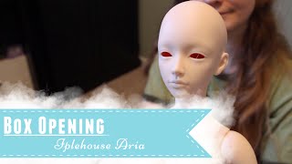 BJD box opening - Iplehouse Aria