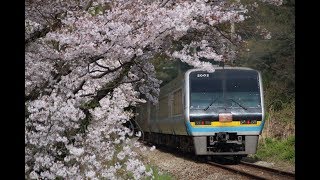 2020/4/5 2004+34D 特急しまんと4号+南風4号 箸蔵～坪尻にて。