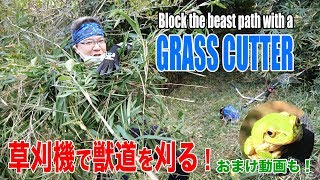 見えない敵がいっぱい！草刈機で獣道を刈る！A lot of invisible enemies! Block the beast path with a GRASS CUTTER! /  /4K高画質