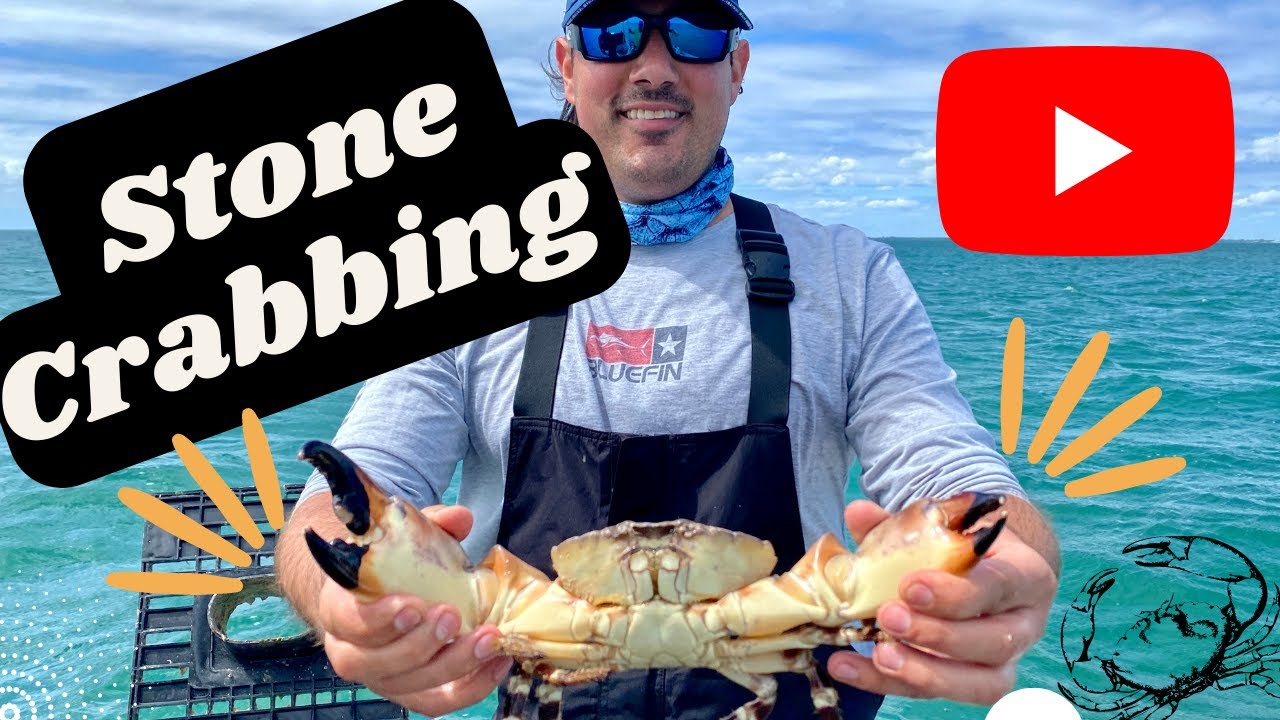 Catching Stone Crab Youtube