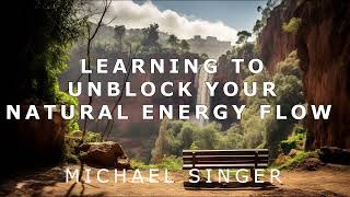 Michael Singer - Learning to Unblock Your Natural Energy Flow