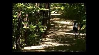 Trail Safety with the Reston Selective Enforcement Team