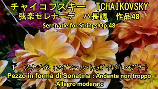 チャイコフスキー　弦楽セレナーデ　ハ長調　作品48　全曲　TCHAIKOVSKY  Serenade for Strings  Op.48