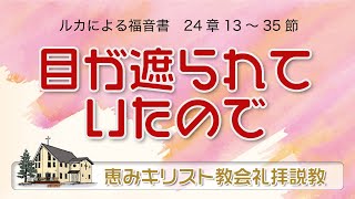 2022.04.24 「目が遮られていたので」（ルカ福音書24：13～35）