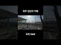 파주 임진각 카페 포비 dmz 평화 누리 공원 데이트 임진각 dmz