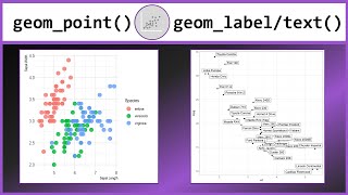 Scatterplots in R with geom_point() and geom_text/label()