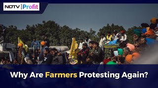 Why Are Farmers Protesting?: All You Need To Know | Delhi Farmers Protest Reason