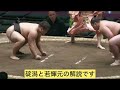 碇潟vs若輝元（錣山部屋） 令和7年1月場所9日目 sumo 相撲