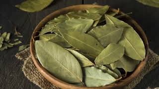 What is bay leaf good for?