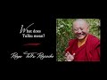 32. What does “Tulku” mean? | Answers for Beginners | Ringu Tulku Rinpoche