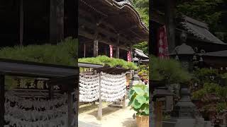 岡寺の風景に癒される動画【No.4】 #Shorts