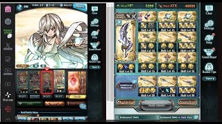 【グラブル】ソロバハムートアルティメット（SBHL）とルシオ5スター【光属性】|【GBF】SUBHL Solo with Lucio 5 star 【Light Primal】