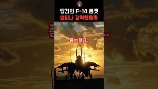 천조국 탑건 F-14 톰캣 얼마나 강했을까?