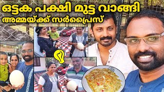 ഒട്ടക പക്ഷിയുടെ മുട്ട വാങ്ങി  അമ്മ ഞെട്ടി - Family Moments | Ostrich Egg Fry | Dr Visakh Kadakkal