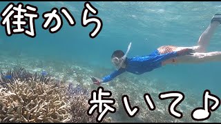 街に近くても綺麗な石垣島の海