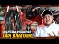 INDONESIA: Anak Derhaka Di Sumpah Jadi Kambing, Babi?