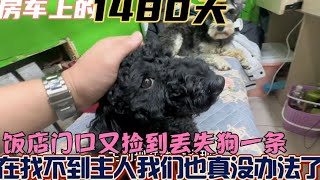 3天前在饭店门口捡到走丢小狗狗一条、找不到主人、我们该怎么办【房车兵哥之旅】